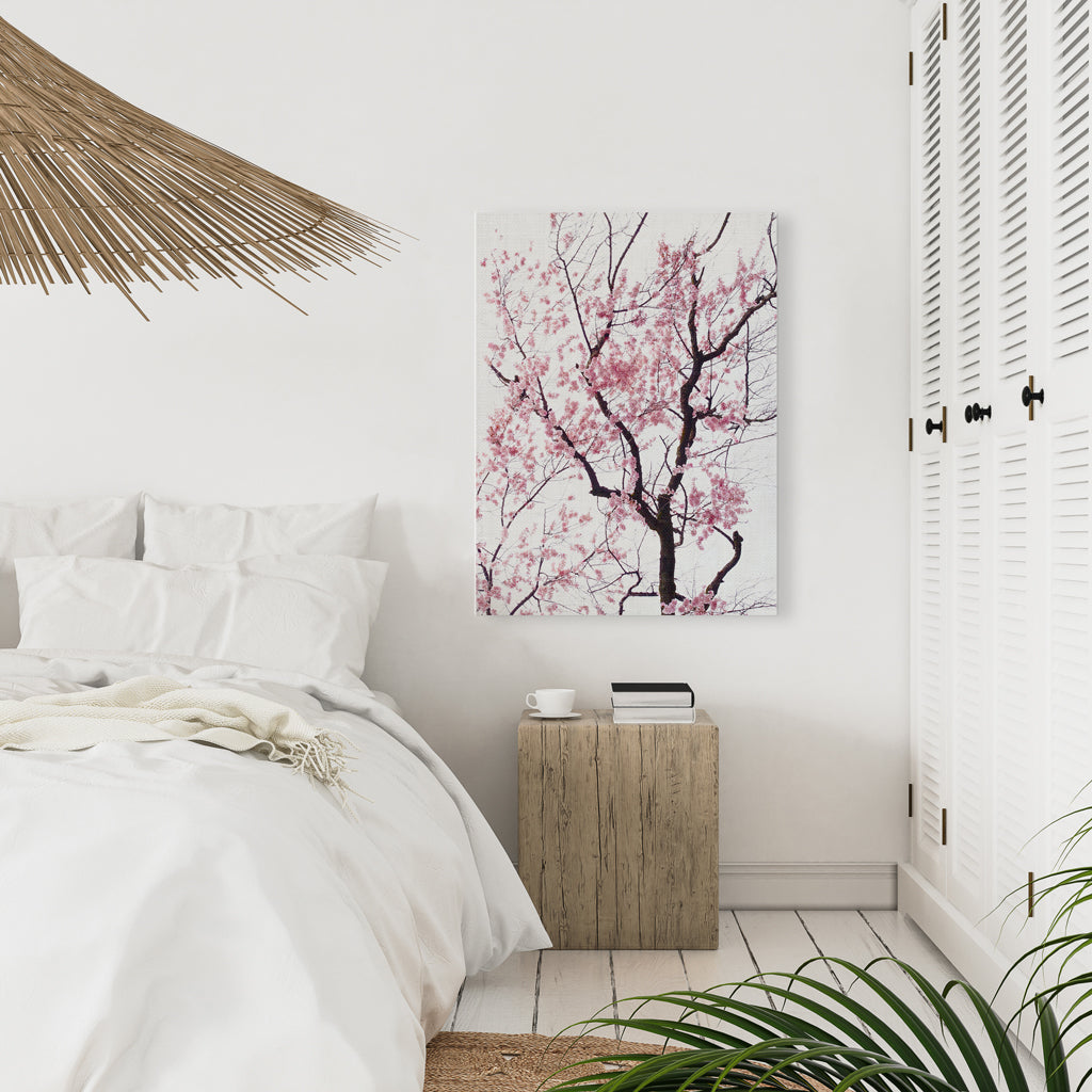 Canvas - Cherry Blossom Tree