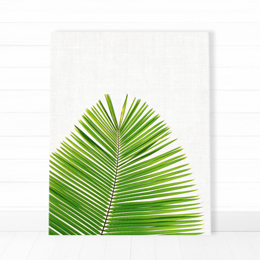 Canvas - Palm Leaf