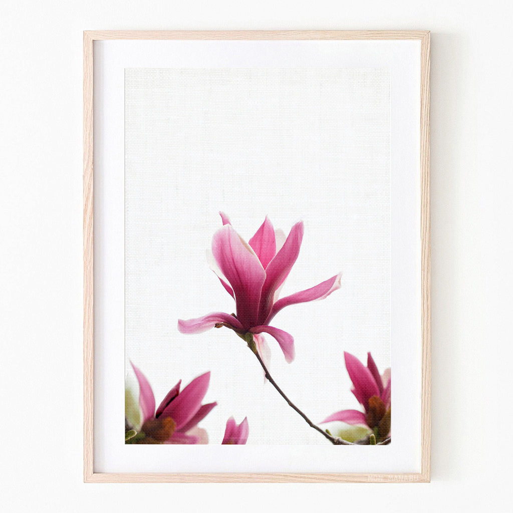 Print - Magnolia