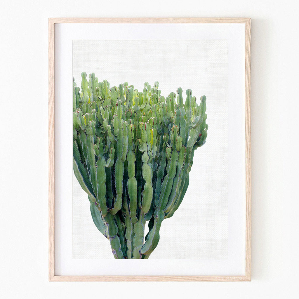 Print - Cactus Garden