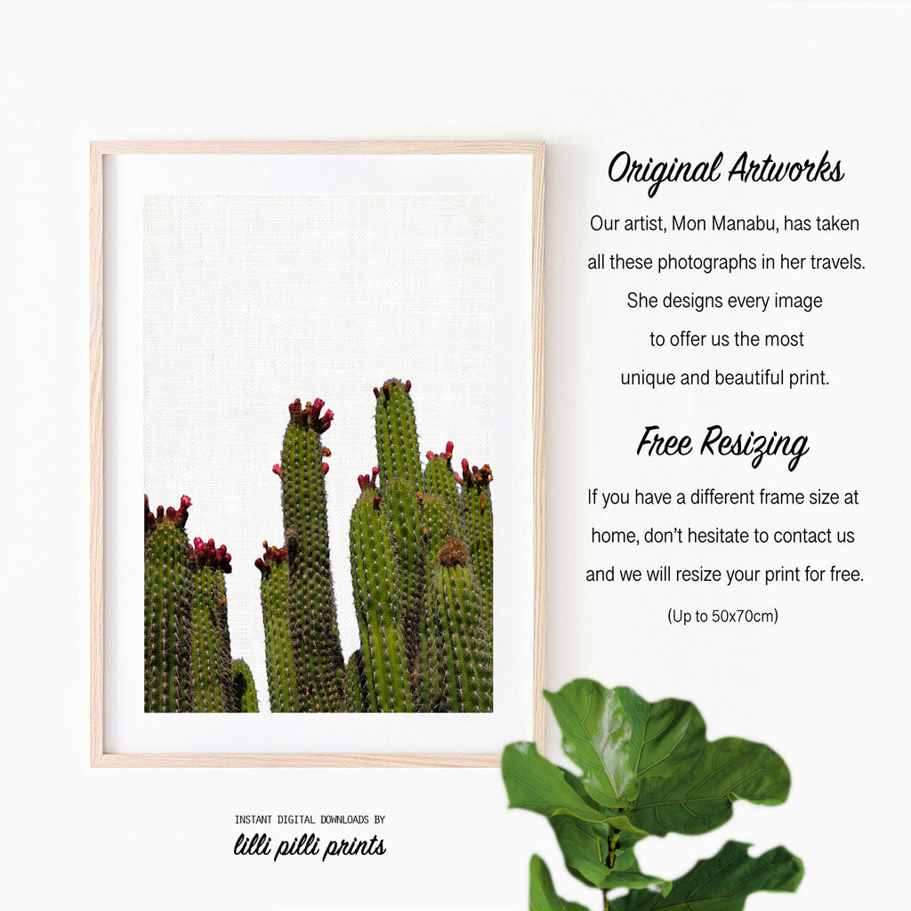 Digital - Cactus