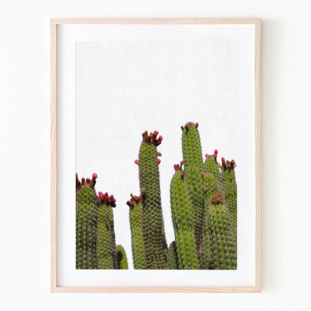Print - Cactus