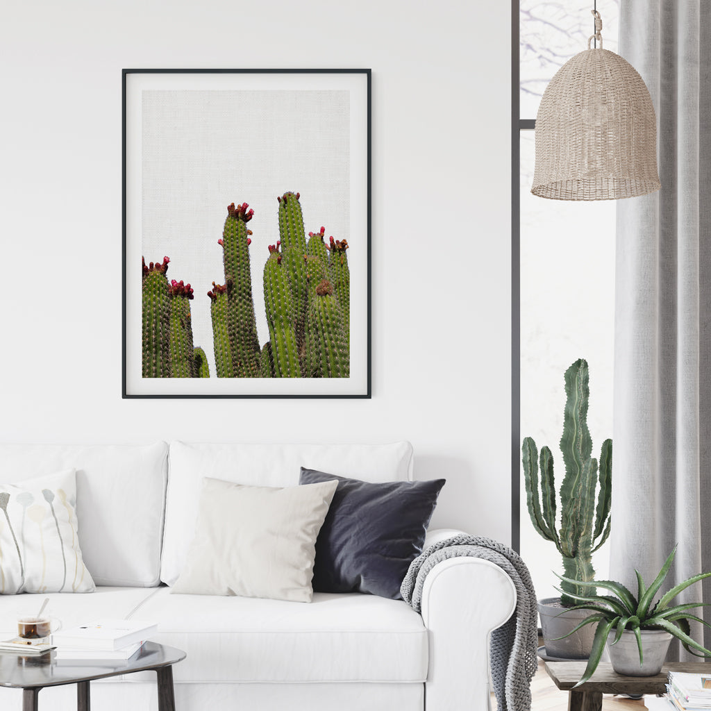 Digital - Cactus