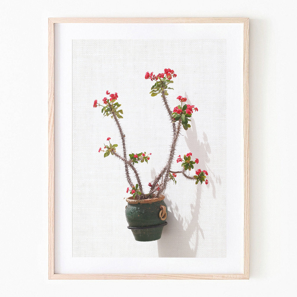 Print - Red Flower
