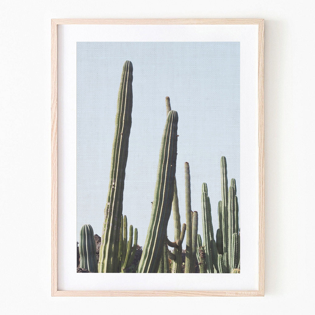Print - Desert Cactus