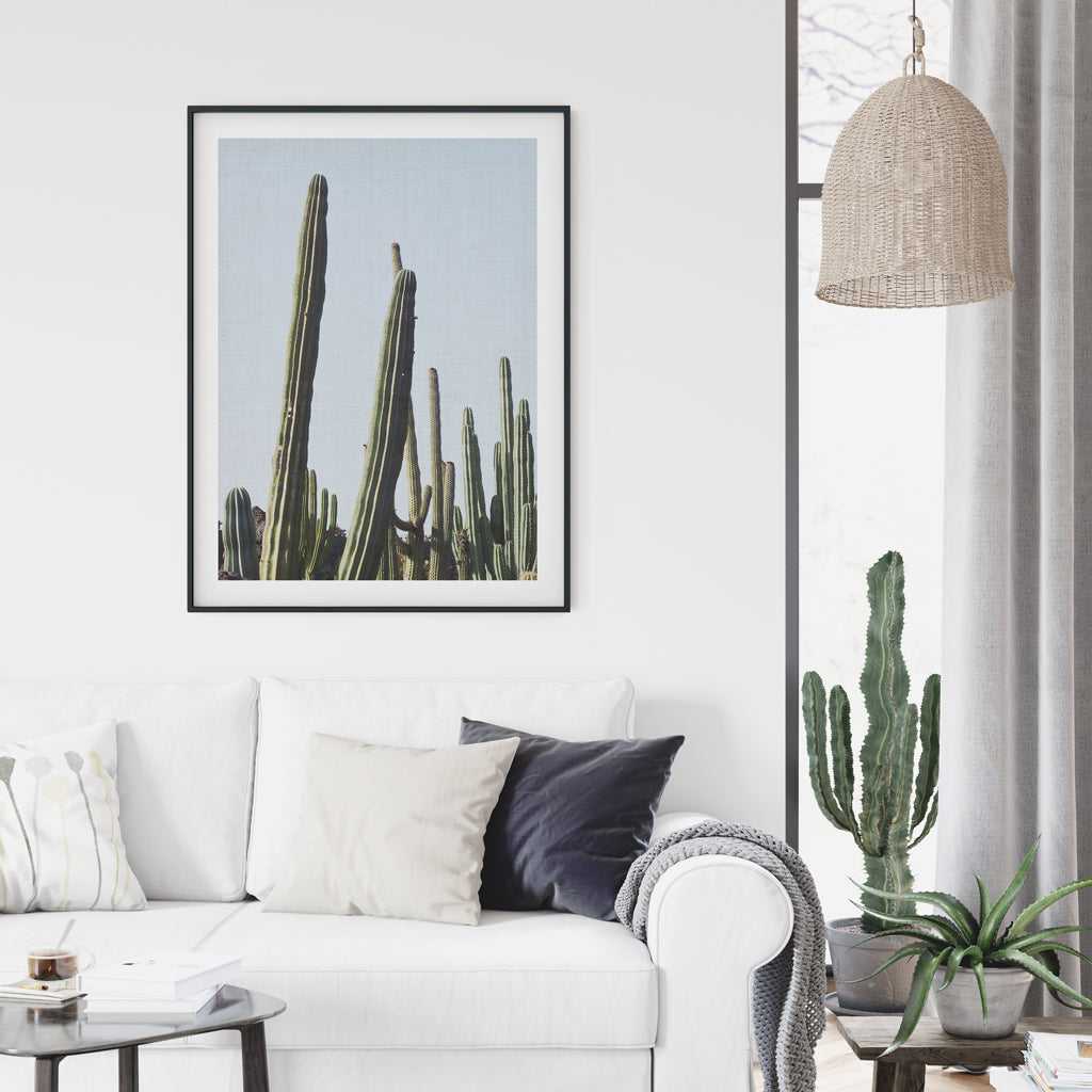 Digital - Desert Cactus