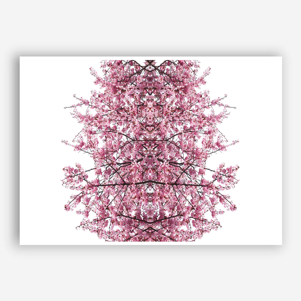 Print - Cherry Blossom Mirror